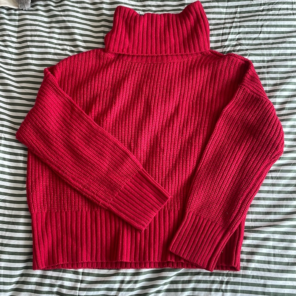 Sanctuary size M Red chunky turtleneck sweater